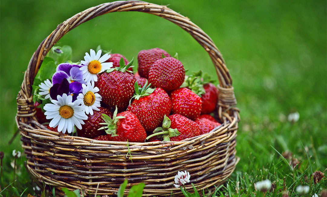 山东点呀点水果电商APP开发案例